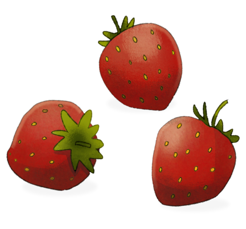 Illustration Erdbeeren