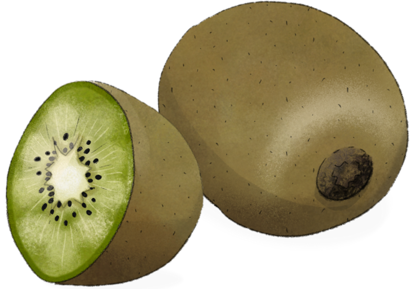 Illustration Kiwi